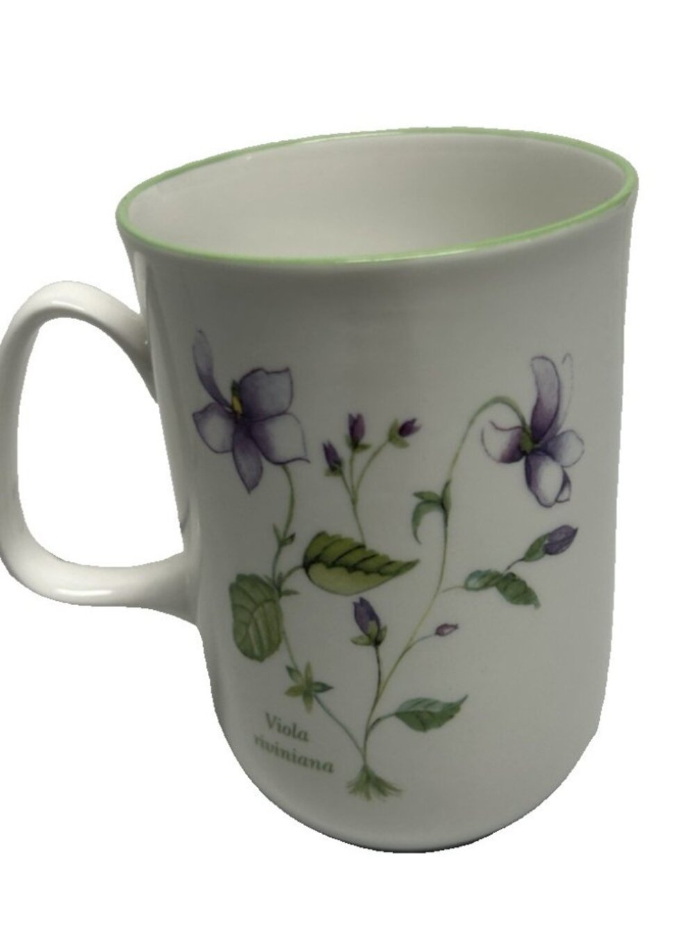 Rose Of England Fine Bone China Mug Cup Tea Purple Flower Viola